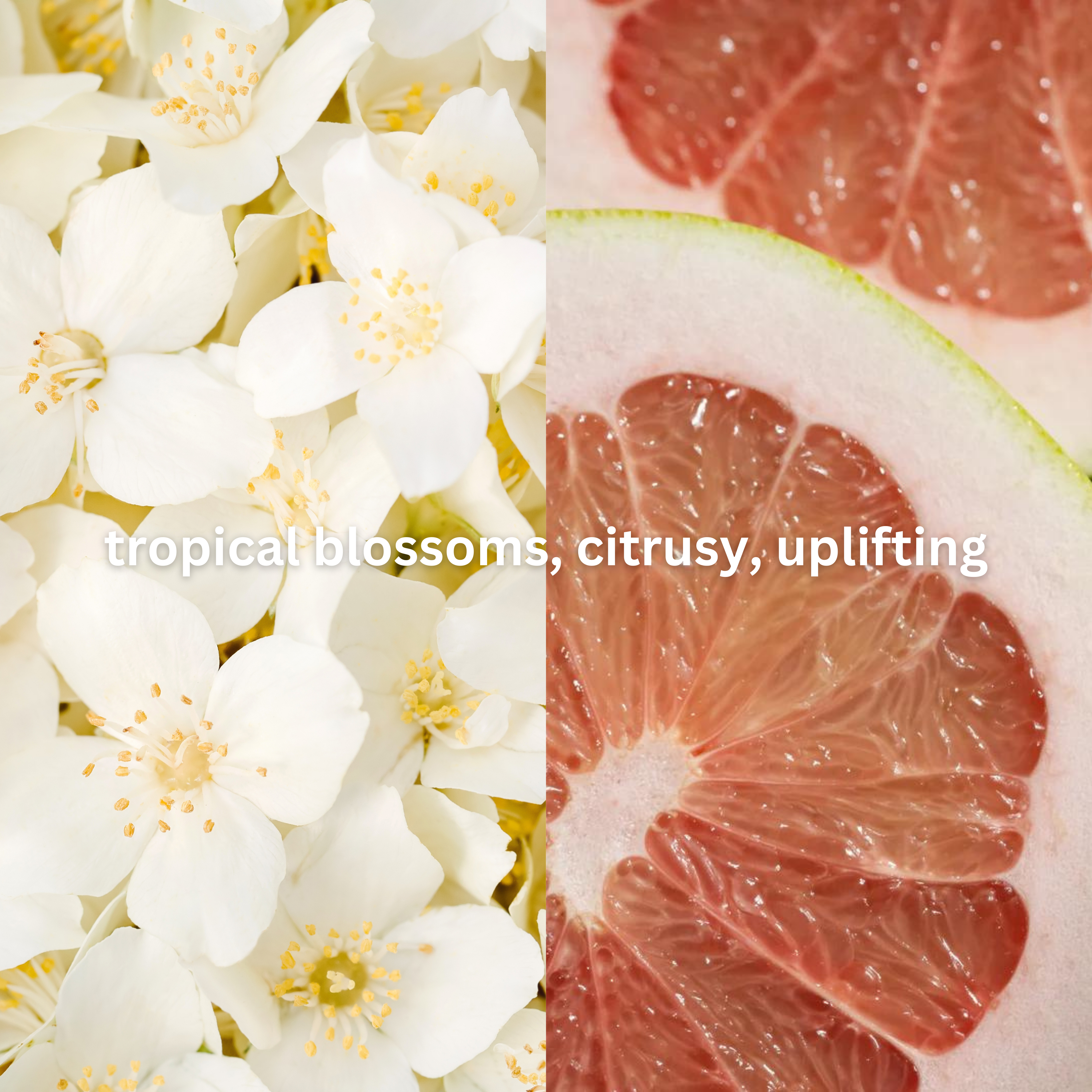 Deodorant - Pikake Pomelo